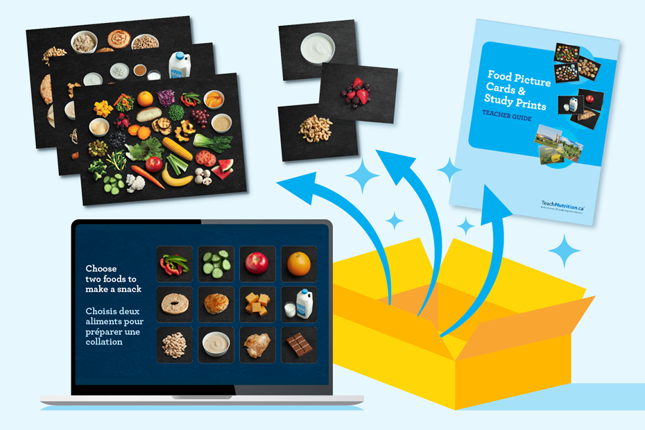 Food Picture Cards and Study Prints