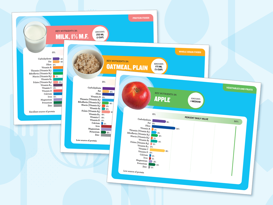 DIY Meals and Snacks Nutrient Graphs