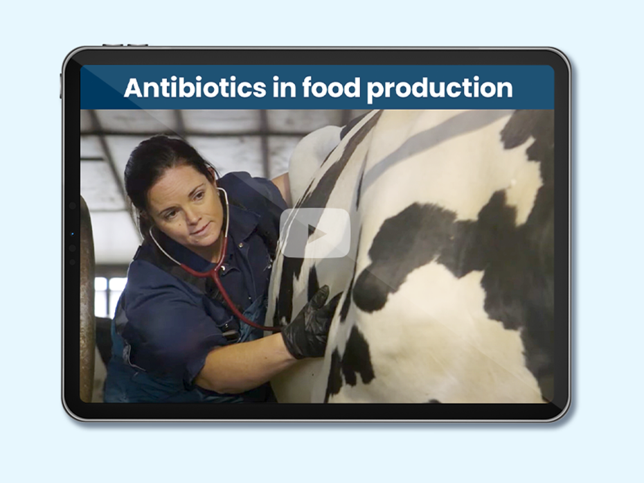 Feeding Canada: Antibiotics in Food Production